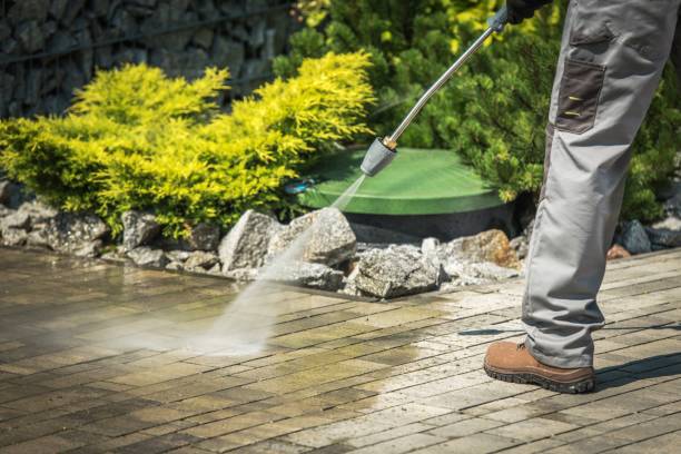 Best Fence Cleaning  in Ruhenstroth, NV